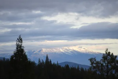 DSC_0094 (Large).JPG